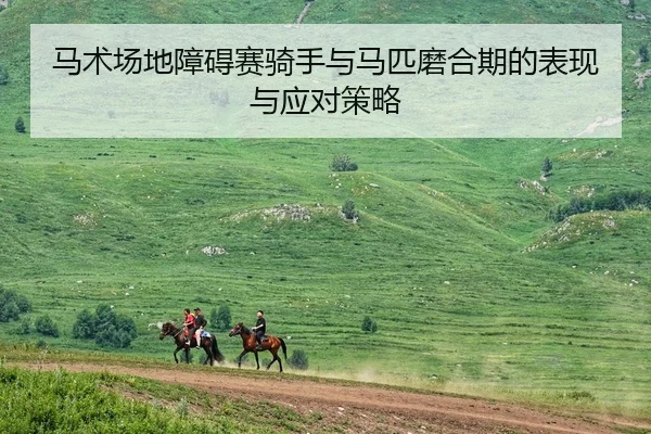 马术场地障碍赛骑手与马匹磨合期的表现与应对策略